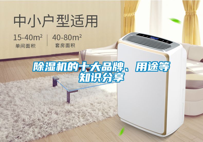 除濕機的十大品牌、用途等知識分享