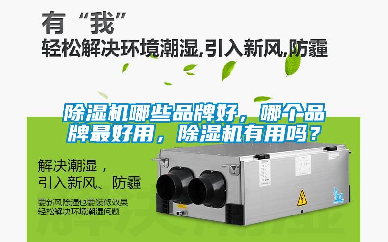 除濕機哪些品牌好，哪個品牌最好用，除濕機有用嗎？