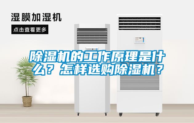 除濕機(jī)的工作原理是什么？怎樣選購(gòu)除濕機(jī)？