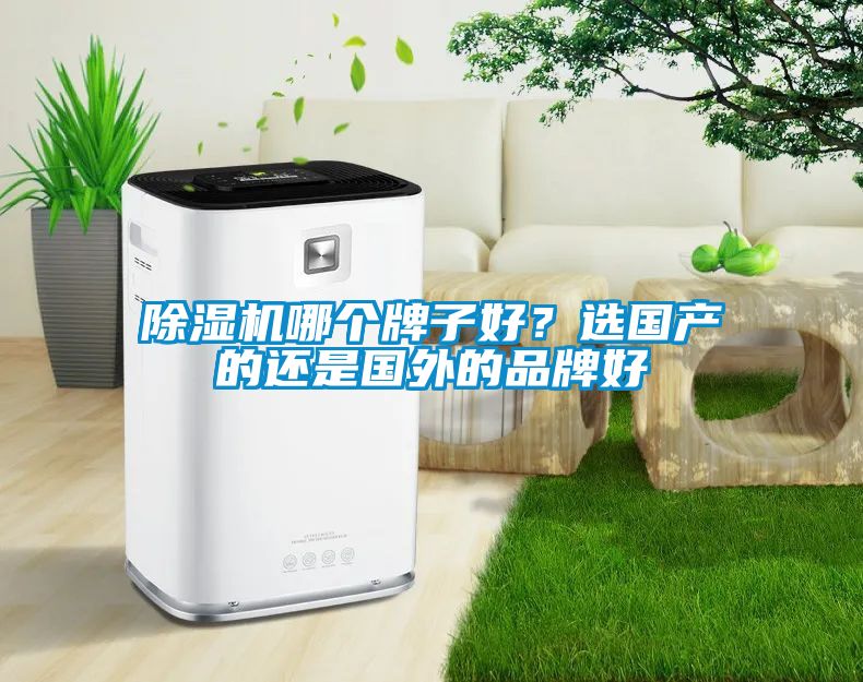 除濕機哪個牌子好？選國產(chǎn)的還是國外的品牌好