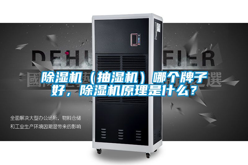 除濕機（抽濕機）哪個牌子好，除濕機原理是什么？