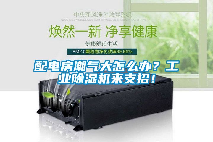 配電房潮氣大怎么辦？工業(yè)除濕機(jī)來支招！