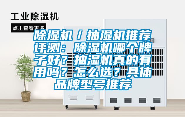 除濕機／抽濕機推薦評測：除濕機哪個牌子好？抽濕機真的有用嗎？怎么選？具體品牌型號推薦