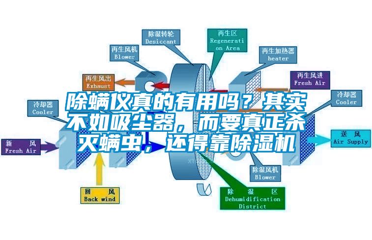 除螨儀真的有用嗎？其實(shí)不如吸塵器，而要真正殺滅螨蟲(chóng)，還得靠除濕機(jī)